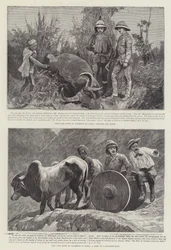 Der Herzog von Clarence in Indien